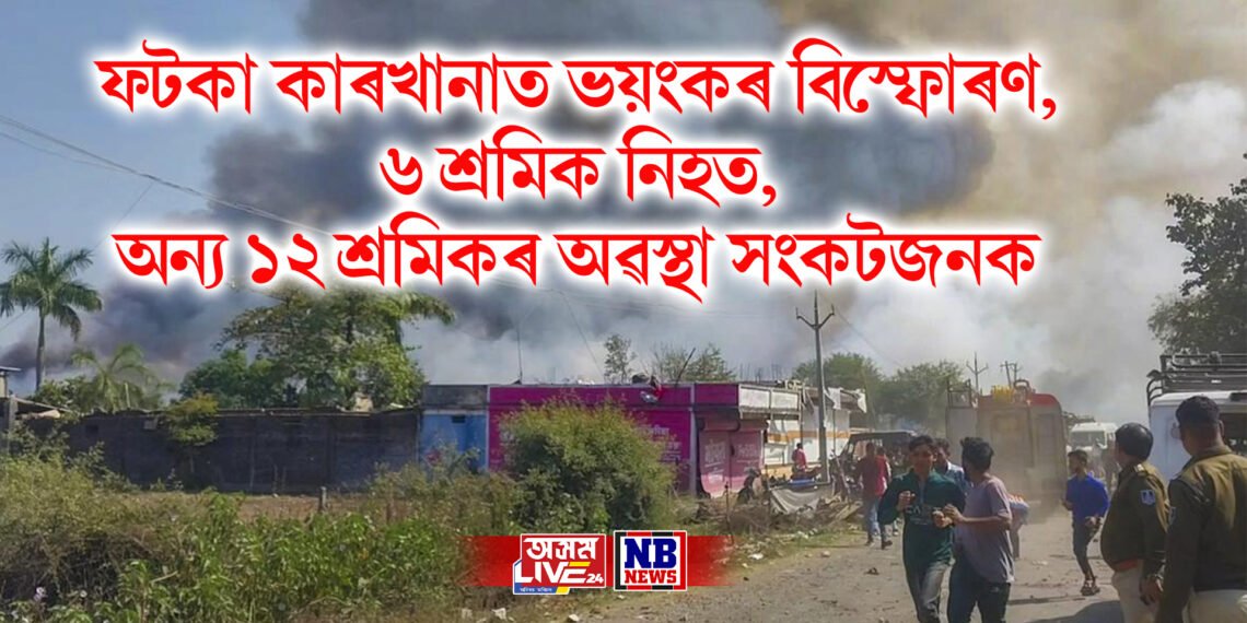 ফটকা কাৰখানাত ভয়ংকৰ বিস্ফোৰণ, ৬ শ্ৰমিক নিহত, অন্য ১২ শ্ৰমিকৰ অৱস্থা সংকটজনক