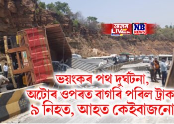 ভয়ংকৰ পথ দুৰ্ঘটনা, অটোৰ ওপৰত বাগৰি পৰিল ট্ৰাক, ৯ নিহত, আহত কেইবাজনো