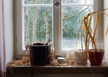 সংসাৰত অশুভ শক্তিৰ আগমন? এইসমূহ ঘটনা ঘটিছে যদি সাৱধান হওক, কি কৈছে বাস্তুশাস্ত্ৰই?