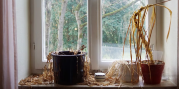 সংসাৰত অশুভ শক্তিৰ আগমন? এইসমূহ ঘটনা ঘটিছে যদি সাৱধান হওক, কি কৈছে বাস্তুশাস্ত্ৰই?