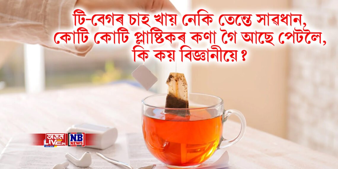 টি-বেগৰ চাহ খায় নেকি তেন্তে সাৱধান, কোটি কোটি প্লাষ্টিকৰ কণা গৈ আছে পেটলৈ, কি কয় বিজ্ঞানীয়ে?