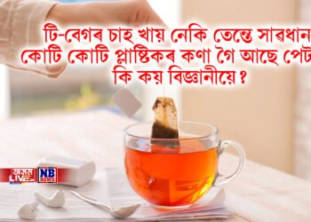 টি-বেগৰ চাহ খায় নেকি তেন্তে সাৱধান, কোটি কোটি প্লাষ্টিকৰ কণা গৈ আছে পেটলৈ, কি কয় বিজ্ঞানীয়ে?