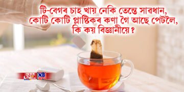 টি-বেগৰ চাহ খায় নেকি তেন্তে সাৱধান, কোটি কোটি প্লাষ্টিকৰ কণা গৈ আছে পেটলৈ, কি কয় বিজ্ঞানীয়ে?