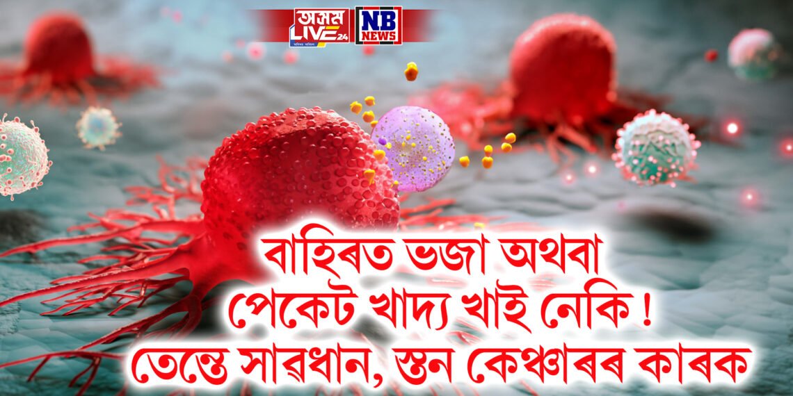 বাহিৰত ভজা অথবা পেকেট খাদ্য খাই নেকি! তেন্তে সাৱধান, স্তন কেঞ্চাৰৰ কাৰক