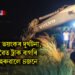 ধুবুৰীত ভয়ংকৰ দুৰ্ঘটনা, দ’ খাৱৈত ট্ৰাক বাগৰি প্ৰাণ হেৰুৱালে ৪জনে