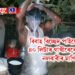বিবাহ বিচ্ছেদ পাইয়ে ফুৰ্তিতে ৪০ লিটাৰ গাখীৰেৰে গা ধুলে নলবাৰীৰ মাণিকে
