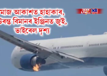 মাজ আকাশত হাহাকাৰ, উৰন্ত বিমানৰ ইঞ্জিনত জুই, ভাইৰেল দৃশ্য