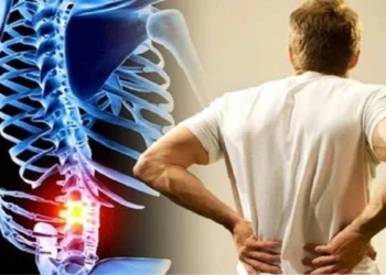 অকালতে হাড় ক্ষয় গৈছে, যন্ত্ৰণাত তিল তিলকৈ শেষ হৈছে শৰীৰ! দৈনন্দিন এই ৫ অভ্যাস সলনি নকৰিলে আহিব চৰম বিপদ