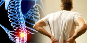 অকালতে হাড় ক্ষয় গৈছে, যন্ত্ৰণাত তিল তিলকৈ শেষ হৈছে শৰীৰ! দৈনন্দিন এই ৫ অভ্যাস সলনি নকৰিলে আহিব চৰম বিপদ