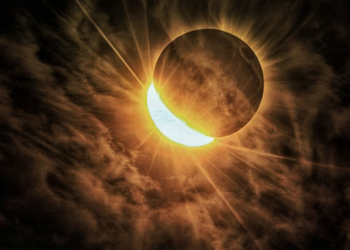 সিংহত এন্ট্ৰীৰ পাছতেই বুধৰ প্ৰভাৱ পৰিছে ৫ৰাশিত! ৫ ৰাশিৰ বাম্পাৰ অৰ্থলাভ, কোনে কোনে লাভ কৰিব সম্পদ?