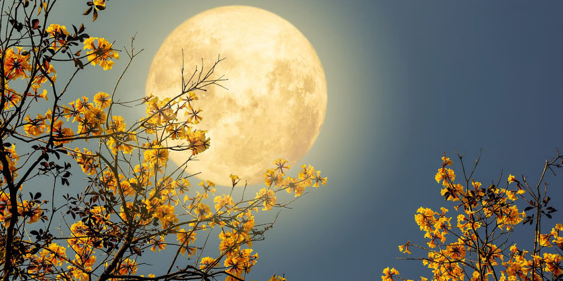 এই বৰ্ষৰ দুৰ্গাপূজাৰ পৰাই খুলিব কেইবাটাও ৰাশিৰ কঁপাল, লাকী ৰাশিৰ লিষ্টত কোন কোন আছে?