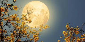 এই বৰ্ষৰ দুৰ্গাপূজাৰ পৰাই খুলিব কেইবাটাও ৰাশিৰ কঁপাল, লাকী ৰাশিৰ লিষ্টত কোন কোন আছে?