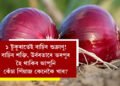 ১ টুকুৰাতেই বাঢ়িব শুক্ৰাণু! বাঢ়িব শক্তি, উৰ্বৰতাৰে ভৰপুৰ হৈ থাকিব আপুনি৷ কেঁচা পিঁয়াজ কেনেকৈ খাব?
