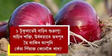 ১ টুকুৰাতেই বাঢ়িব শুক্ৰাণু! বাঢ়িব শক্তি, উৰ্বৰতাৰে ভৰপুৰ হৈ থাকিব আপুনি৷ কেঁচা পিঁয়াজ কেনেকৈ খাব?