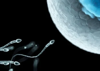 বাঢ়িব শুক্ৰাণুৰ সংখ্যা! পুৰুষৰ বাবে এই খাদ্য আশীৰ্বাদৰ দৰে, খাদ্যতালিকাত কি কি ৰাখিলে আপুনি শক্তিশালী হৈ থাকিব?