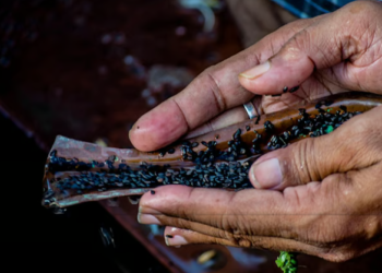 পিতৃপক্ষতেই মহাযোগ! হাতলৈ ধন আহিব এই ৭ৰাশিৰ, সোণৰ দৰে চমকিব ভাগ্য
