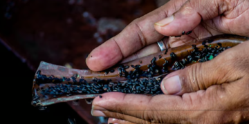 পিতৃপক্ষতেই মহাযোগ! হাতলৈ ধন আহিব এই ৭ৰাশিৰ, সোণৰ দৰে চমকিব ভাগ্য