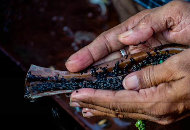পিতৃপক্ষতেই মহাযোগ! হাতলৈ ধন আহিব এই ৭ৰাশিৰ, সোণৰ দৰে চমকিব ভাগ্য