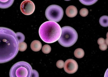 পিঠি, কঁকালত অসহ্য বিষ, প্ৰস্ৰাৱৰ সময়ত জ্বলাপোৰা হৈছে, সতৰ্ক হওক, অন্যথা এই ডাঙৰ বিপদত পৰিব পাৰে আপুনি