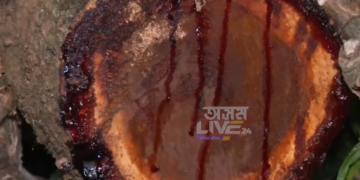 ৰঙা চন্দনেৰে সৎকাৰ কৰা হ’ব জুবিন গাৰ্গৰ নশ্বৰ দেহ! বিনামূলীয়াকৈ ডিমৰীয়াৰ কেইবাগৰাকীও লোকে আগবঢ়াইছে ৰঙা চন্দন