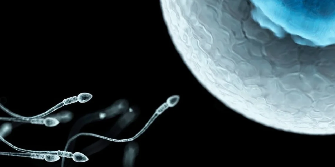 আপুনি সক্ৰিয় আৰু উদ্যমী অনুভৱ কৰিব, উন্নত হ’ব যৌন জীৱন, এই পাচলি পুৰুষৰ বাবে এনাৰ্জিৰ দোকান