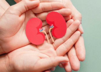 প্ৰতিদিনেই বহু পৰিমাণে চুলি সৰিব ধৰিছে? কি মাৰাত্মক ৰোগৰ লক্ষণ এয়া?