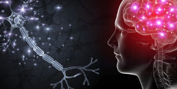 এই ভিটামিনৰ ঘাটি হ’লে মানুহে কথা পাহৰিবলৈ ধৰে, সাৱধান হওক, জানি থওক খাদ্য তালিকাত কি জৰুৰী?