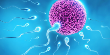 বাৰে বাৰে চেষ্টা কৰিও পিতৃ-মাতৃ হ’ব পৰা নাই? IVF ৰ পূৰ্বে এই বিশেষ কামসমূহত মন দিয়ক দ্ৰুতভাৱে পাব সুখবৰ