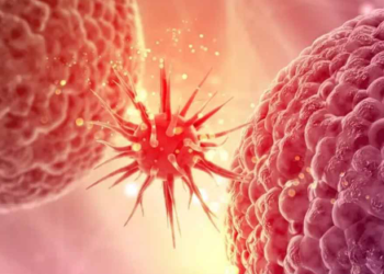 দৈনিক কিছু খাদ্যৰ কাৰণে বাঢ়িছে কৰ্কট আৰু বন্ধ্যাত্বৰ আশংকা! ক’ৰ পৰা কেনেকৈ শৰীৰত সোমাইছে ৰাসায়নিক?