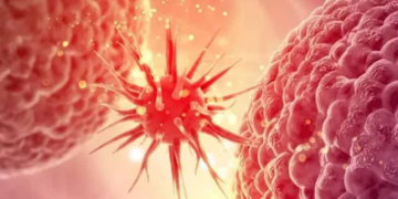 দৈনিক কিছু খাদ্যৰ কাৰণে বাঢ়িছে কৰ্কট আৰু বন্ধ্যাত্বৰ আশংকা! ক’ৰ পৰা কেনেকৈ শৰীৰত সোমাইছে ৰাসায়নিক?