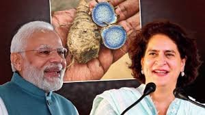 নীলা হালধি খায় প্ৰিয়ংকা গান্ধীয়ে, প্ৰধানমন্ত্ৰী মোদীয়েও সুধিবলৈ বাধ্য ইয়াৰ উপকাৰিতা
