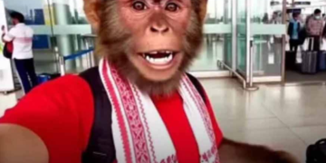 অসমৰেই ক্ৰিয়েটৰে খুলিছিল চেনেলটো! বছৰত উপাৰ্জন কৰিছে ৩৫ কোটি টকা, AI শ্লপ ভিডিঅ’ তৈয়াৰ কৰি ইউটিউবত জনপ্ৰিয় ‘বন্দৰ অপনা দোস্ত’