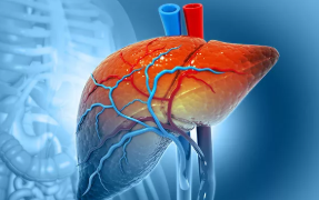 শৰীৰত কি ভিটামিন কমি গ’লে হ’ব পাৰে ফেটি লিভাৰ? কেনেকৈ ৰক্ষা পাব?