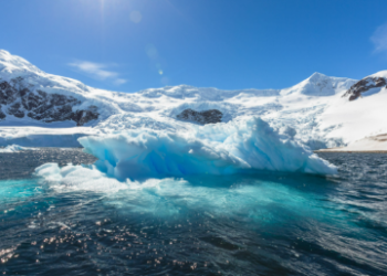 এণ্টাৰ্কটিকাৰ সমুদ্ৰ জলাধাৰে সলনি কৰিছে সোঁত! ওলোটাফালে গতি কৰিছে সোঁতে! বাঢ়িছে পানীত নিমখৰ পৰিমাণো, কি বিপদৰ ইংগিত এয়া, কি কৈছে বিজ্ঞানীয়ে?
