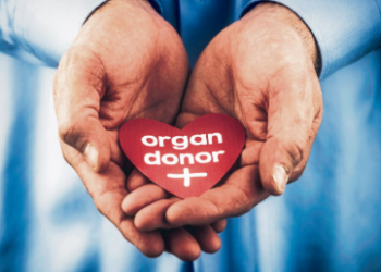 ব্ৰেইন নে হাৰ্ট? মৃত্যুৰ পাছত কি কি অংগই আগতীয়াকৈ কাম কৰা বন্ধ কৰে?