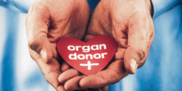 ব্ৰেইন নে হাৰ্ট? মৃত্যুৰ পাছত কি কি অংগই আগতীয়াকৈ কাম কৰা বন্ধ কৰে?