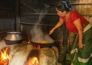 গেছৰ নাটনি হ’লেও নাই চিন্তা, খৰিত খাদ্য ৰান্ধি খালে পাব বেছি উপকাৰিতা