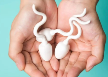 এইকেইবিধ খাদ্য খালেই কমে পুৰুষৰ শুক্ৰাণুৰ ক্ষমতা, গৱেষণাত কি কি সতৰ্কবাৰ্তা?