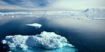 ওলোটাকৈ ব’ব ধৰিছে সমুদ্ৰ সোঁত! এণ্টাৰ্কটিকাৰ সমুদ্ৰৰ পানীত বাঢ়িছে নিমখৰ পৰিমাণো, কি বিপদৰ ইংগিত এয়া, কি কৈছে বিজ্ঞানীয়ে?