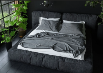 ‘হট বেডিং’, বিছনাৰ এটা কাষ ভাড়া দিয়েই লাখপতি এগৰাকী যুৱতী, ক’ত কেনেকৈ কোনে আৰম্ভ কৰিছে ‘হট বেডিং’?