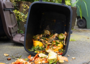 খাদ্য অপচয় ভুলতো নকৰিব, অন্যথা ৮১ লাখ জৰিমনা…খাদ্য অপচয় ৰোধক লৈ কোন দেশত এই কঠোৰ আইন?