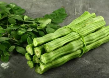 হাড় মজবুৰ পৰা ছালৰ সমস্যালৈ… চজিনাৰ উপকাৰী গুণৰ বিষয়ে জানি হ’ব আচৰিত!