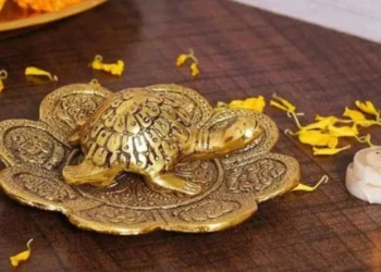 কপাল ফুলিব আপোনাৰ, মাত্ৰ ঘৰৰ সঠিক দিশত ৰাখক ধাতুৰ কাছ!