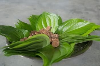 শৰীৰৰ বাবে আশীৰ্বাদ স্বৰূপ পাণ, মূৰৰ বিষৰ পৰা কোষ্ঠকাঠিন্য লৈ পাব আৰাম