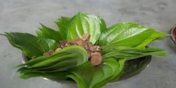 শৰীৰৰ বাবে আশীৰ্বাদ স্বৰূপ পাণ, মূৰৰ বিষৰ পৰা কোষ্ঠকাঠিন্য লৈ পাব আৰাম