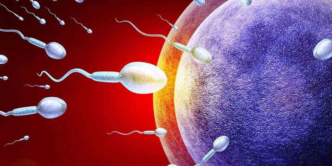 জন্মনিয়ন্ত্ৰক ঔষধ বা অস্ত্ৰোপচাৰৰ প্ৰয়োজন নাই, পুৰুষৰ বাবে গৰ্ভনিৰোধক তৈয়াৰ কৰিলে বিজ্ঞানীয়ে