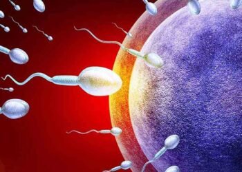 জন্মনিয়ন্ত্ৰক ঔষধ বা অস্ত্ৰোপচাৰৰ প্ৰয়োজন নাই, পুৰুষৰ বাবে গৰ্ভনিৰোধক তৈয়াৰ কৰিলে বিজ্ঞানীয়ে