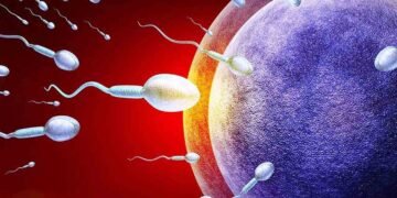 জন্মনিয়ন্ত্ৰক ঔষধ বা অস্ত্ৰোপচাৰৰ প্ৰয়োজন নাই, পুৰুষৰ বাবে গৰ্ভনিৰোধক তৈয়াৰ কৰিলে বিজ্ঞানীয়ে