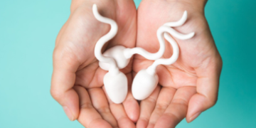 পুৰুষৰ বাবে এই খাদ্য আশীৰ্বাদৰ দৰে, খাদ্যতালিকাত কি কি ৰাখিলে আপুনি শক্তিশালী হৈ থাকিব?