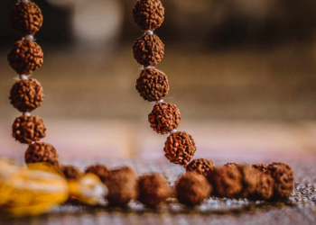 ৰুদ্ৰাক্ষই মানুহৰ জীৱনক কেনেকৈ প্ৰভাৱিত কৰে? কি কয় জ্যোতিষবিদে?